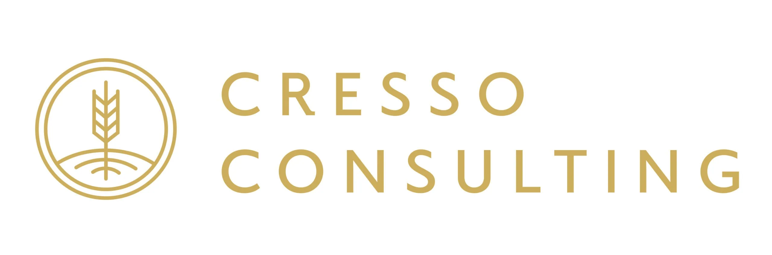 Cresso Consulting