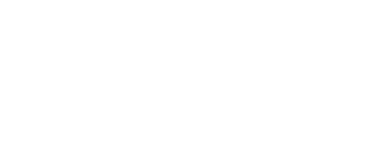 Executive Home Care of South-East Tampa & VitalPath Strategies