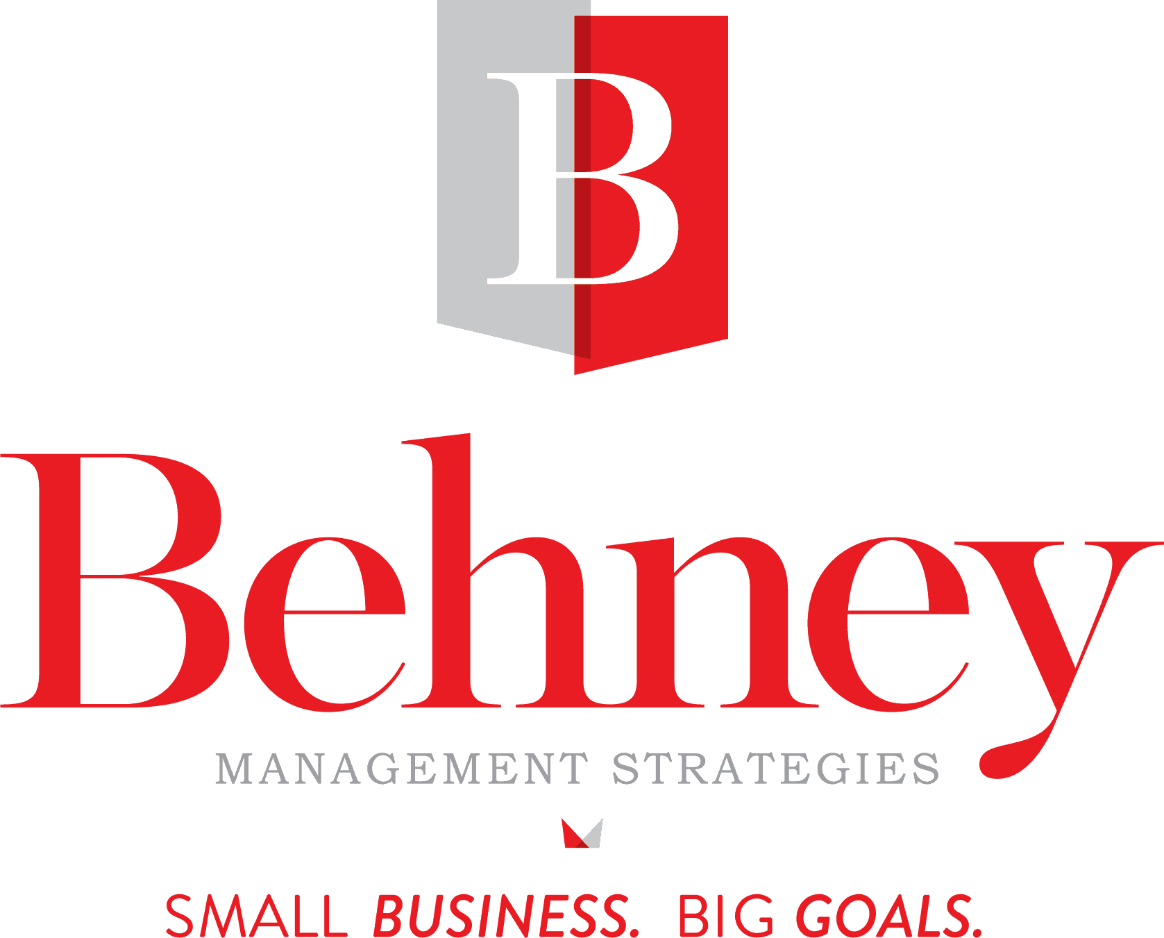 Behney Management Strategies, LLC