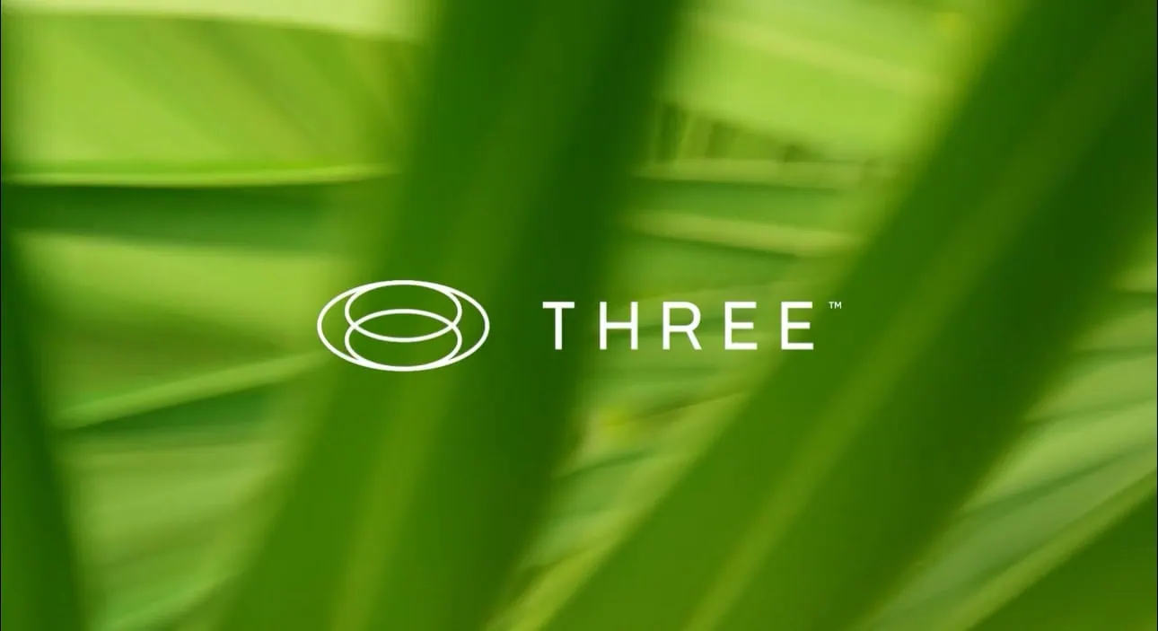 THREE INTERNATIONAL