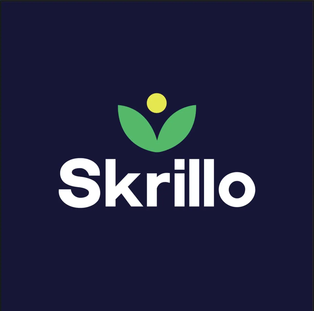 Skrillo Solutions
