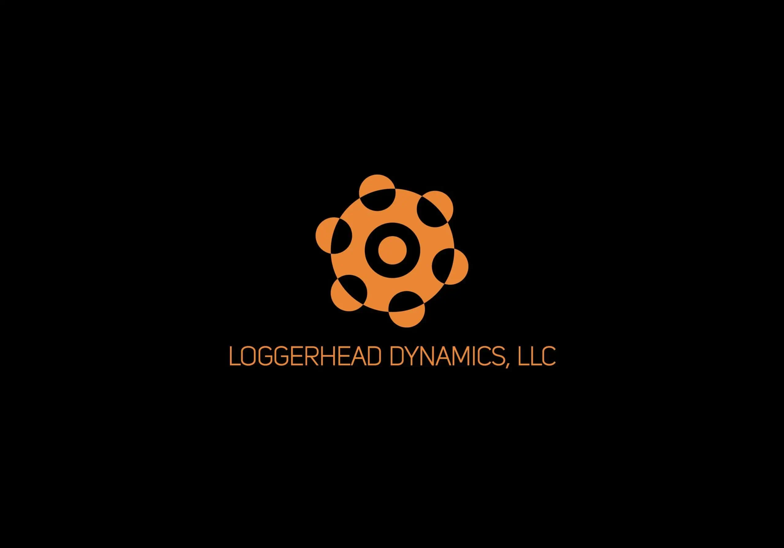 Loggerhead Dynamics LLC