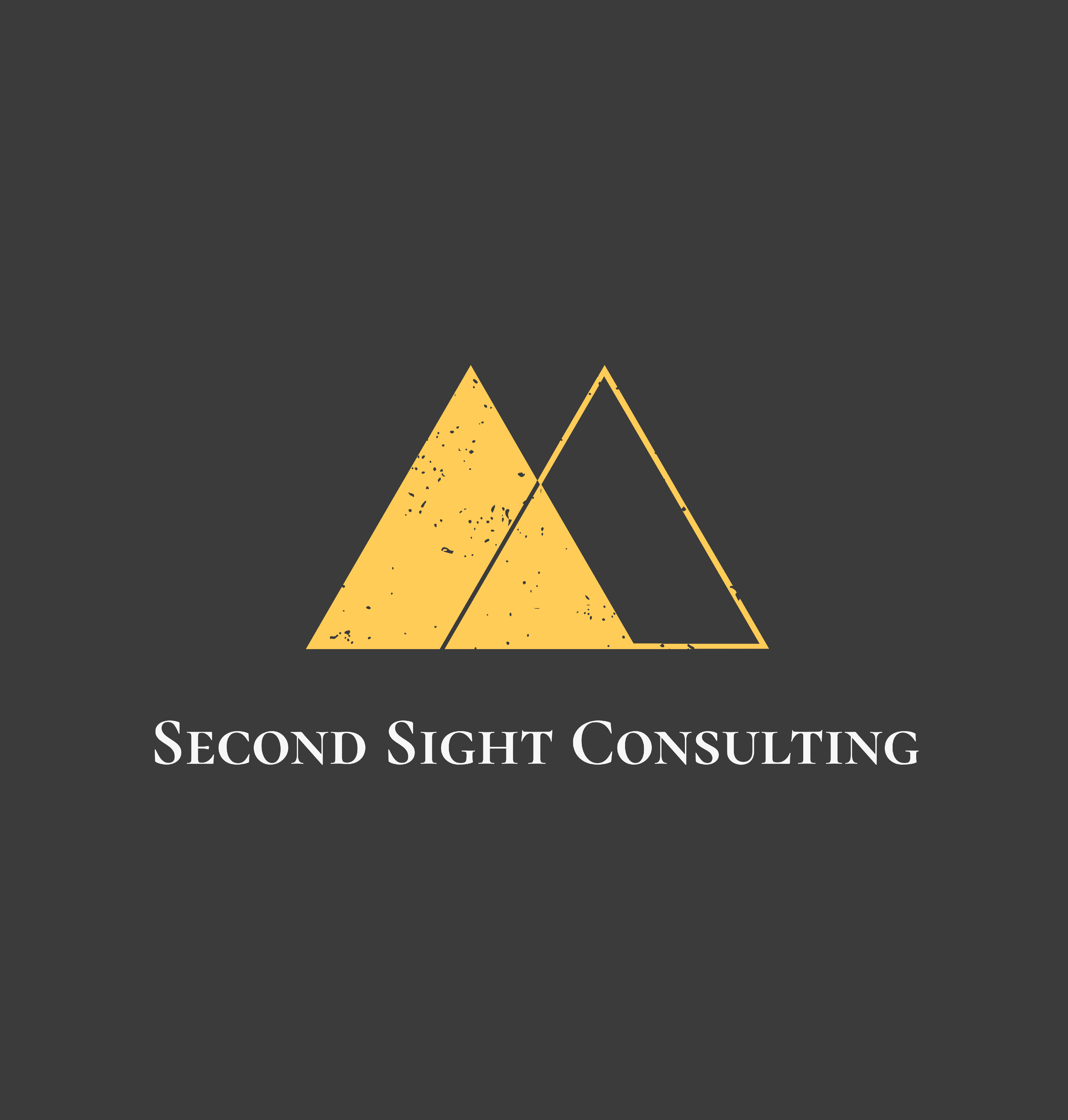 Second Sight Consulting, LLC