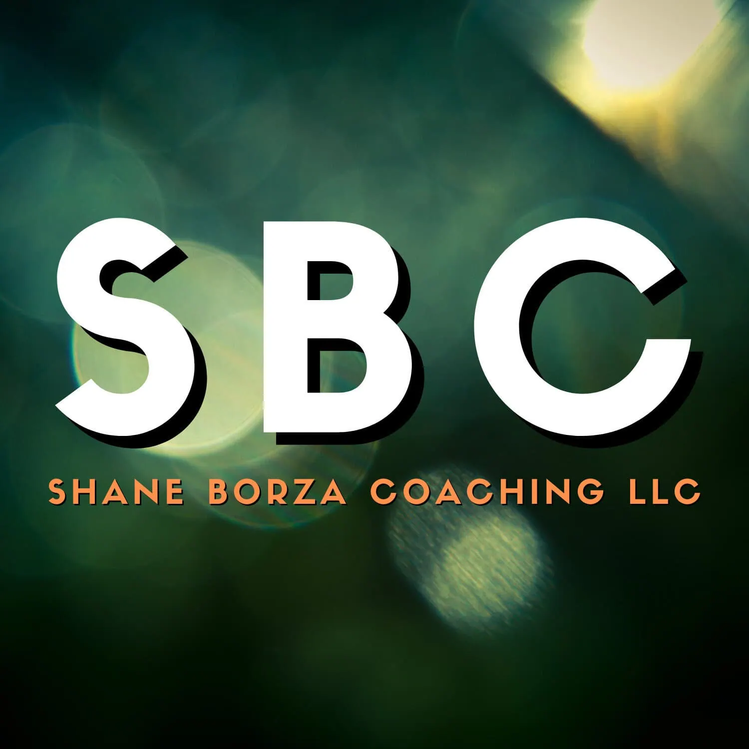 Shane Borza Coaching LLC