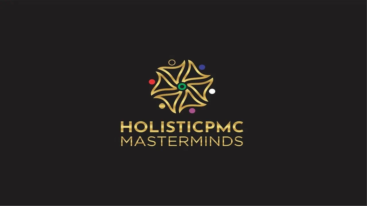 Holistic Project Management Consulting